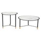 Davis Coffee Table Set (2pc) White Round Marble Top - Revel Sofa 